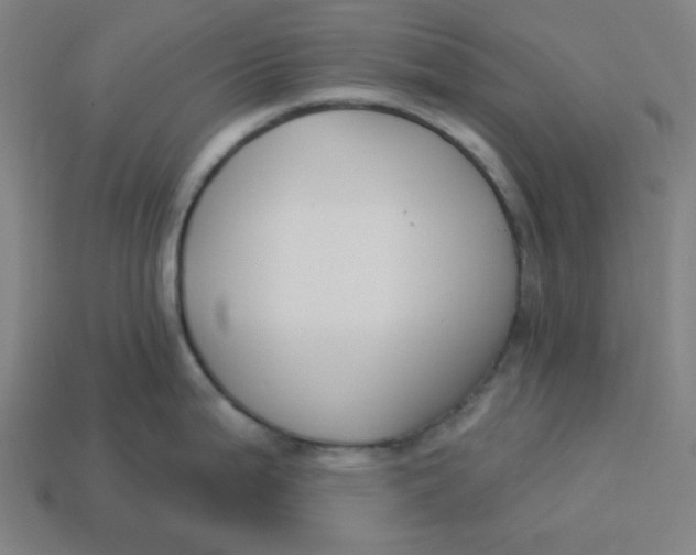 X0000113361199200910061033