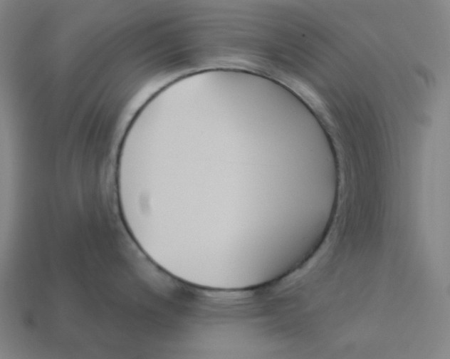 X0000113361200200910061033