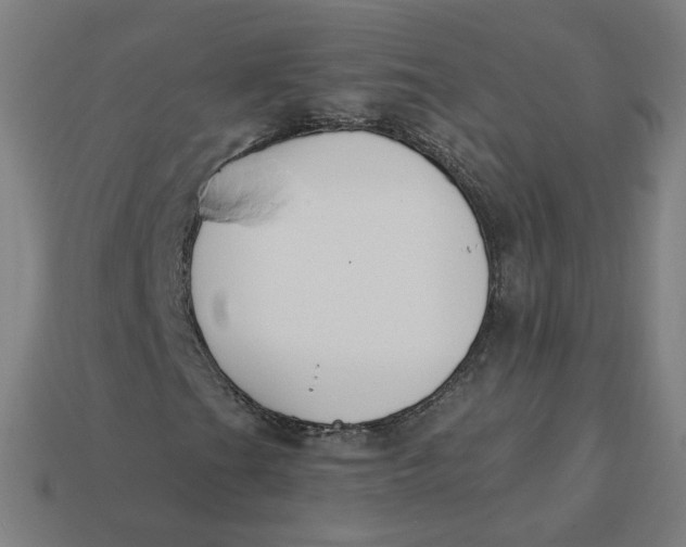 X0000113361201200910061032