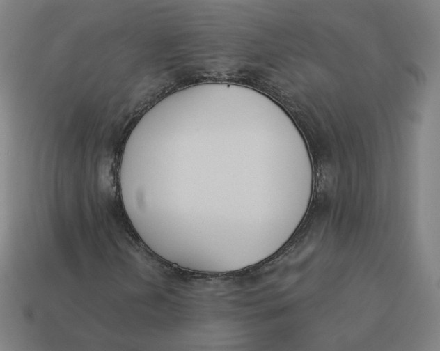 X0000113361202200910061032