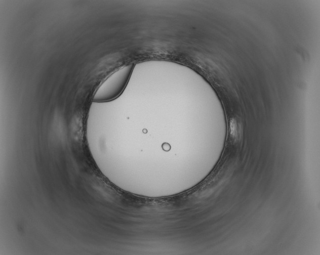 X0000113361203200910061032