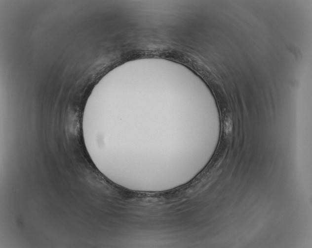 X0000113361204200910061032