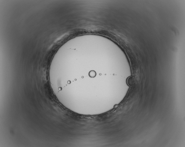 X0000113361205200910061032