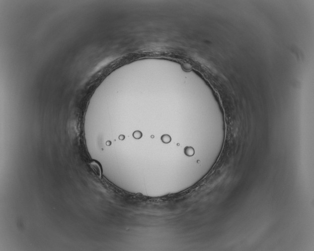 X0000113361206200910061032