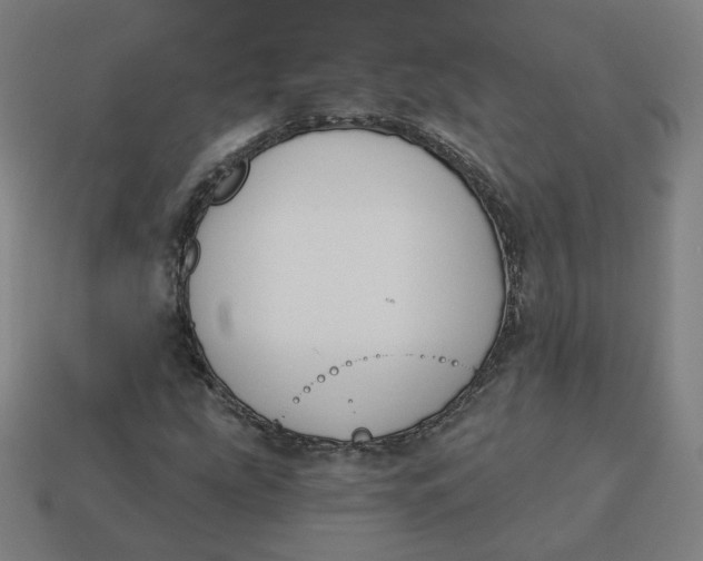 X0000113361207200910061032