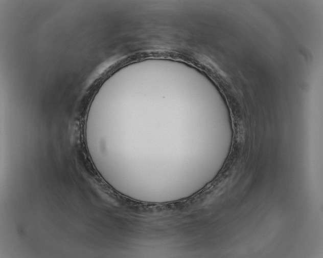 X0000113361208200910061032