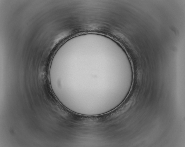 X0000113361210200910061033