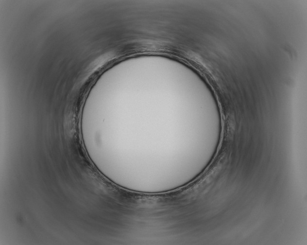 X0000113361211200910061033