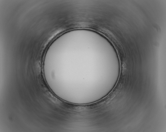 X0000113361212200910061033