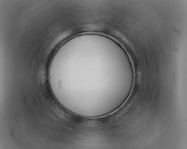 X0000113361213200910061033