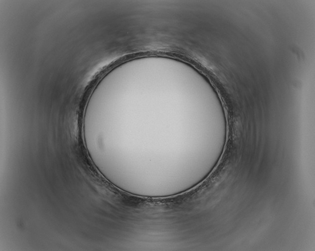 X0000113361214200910061033