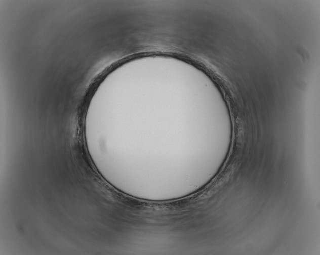 X0000113361215200910061033