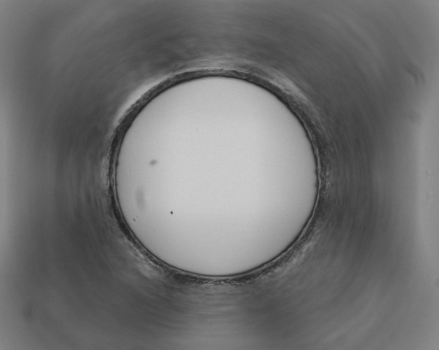 X0000113361216200910061033