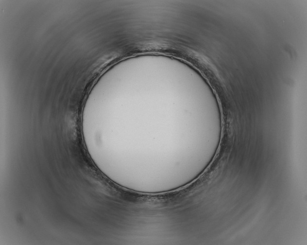 X0000113361217200910061033