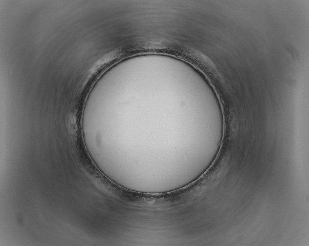 X0000113361218200910061033