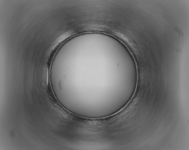 X0000113361219200910061033