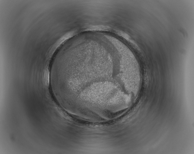 X0000113361221200910061033