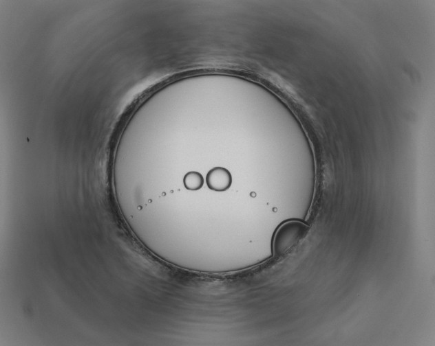 X0000113361222200910061033