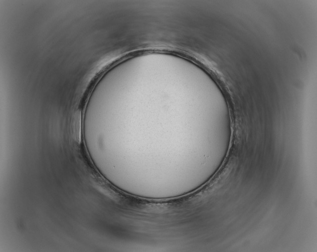 X0000113361223200910061033