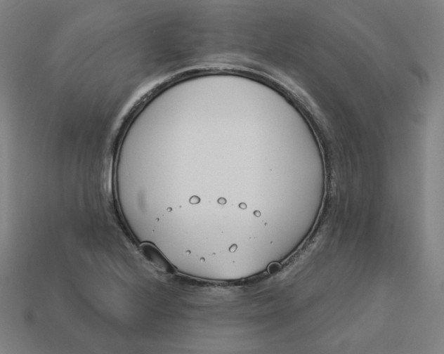 X0000113361224200910061033