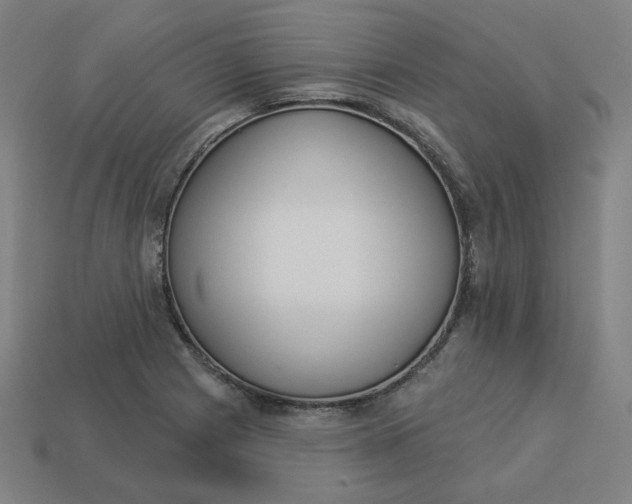 X0000113361225200910061033