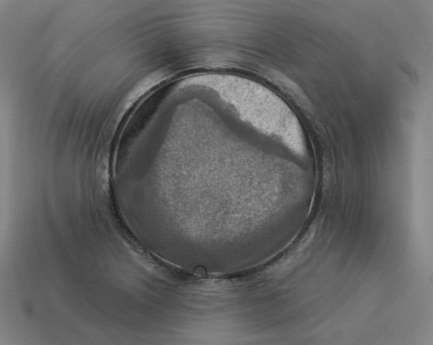 X0000113361226200910061033