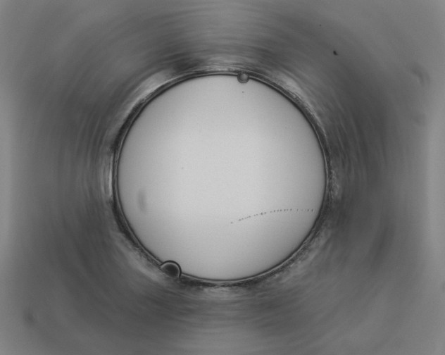 X0000113361227200910061033