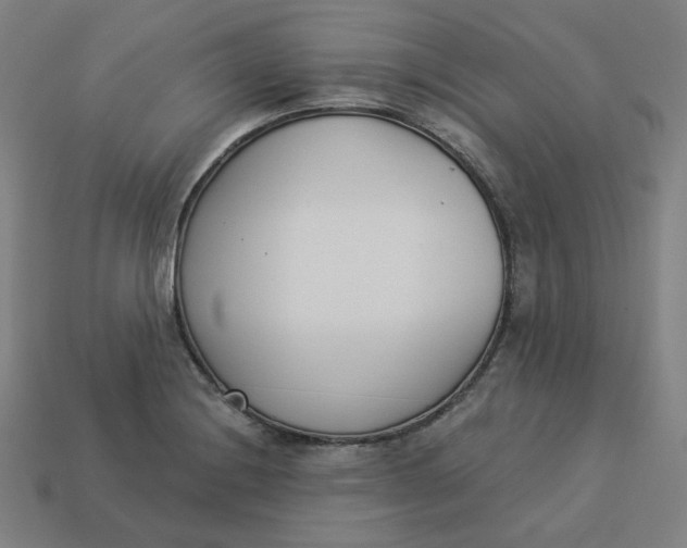 X0000113361228200910061033