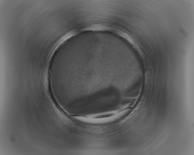 X0000113361229200910061033