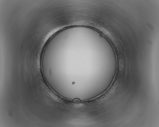 X0000113361230200910061033