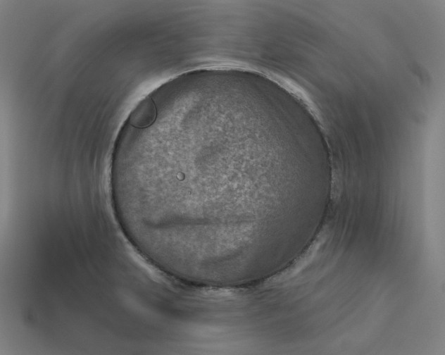 X0000113361231200910061033