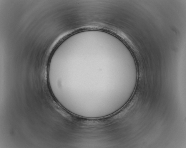 X0000113361232200910061033