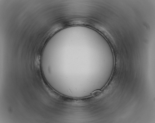 X0000113361233200910061033