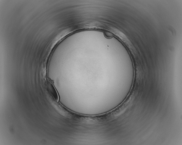 X0000113361234200910061033