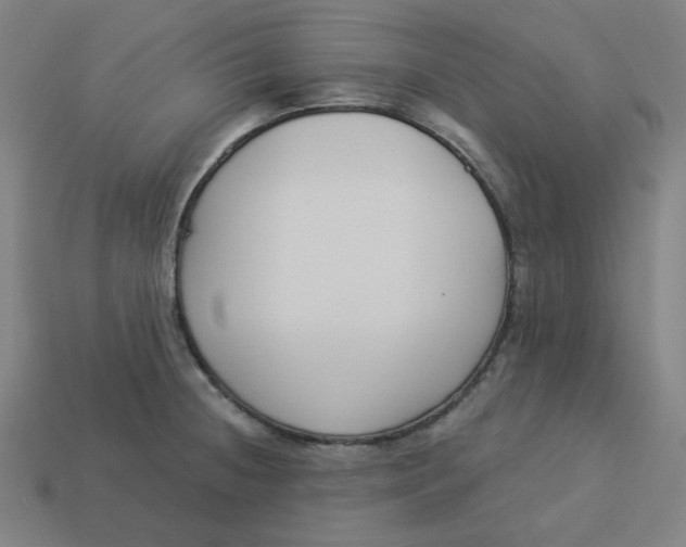 X0000113361236200910061033