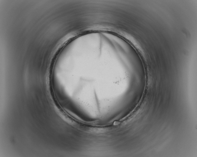 X0000113361237200910061033