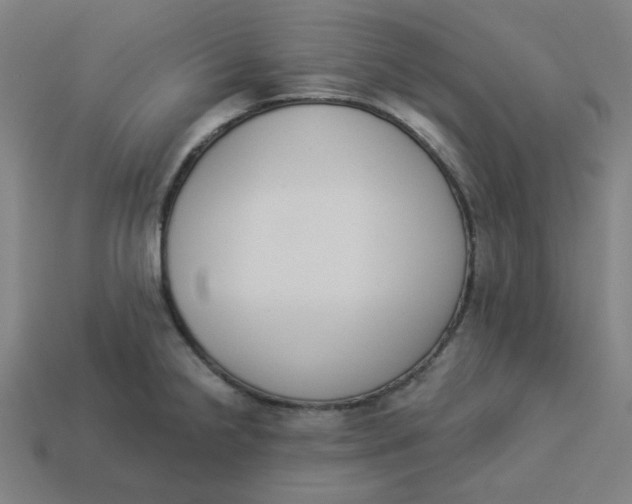 X0000113361238200910061033