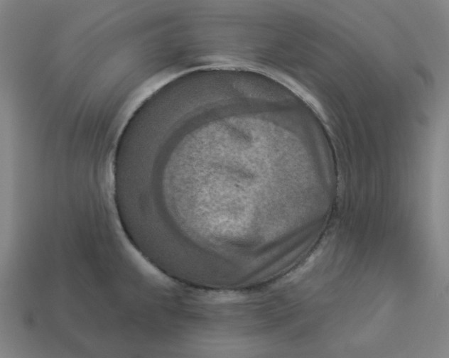 X0000113361239200910061033