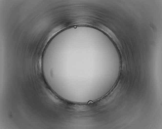 X0000113361242200910061033