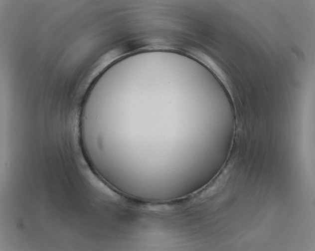 X0000113361243200910061033