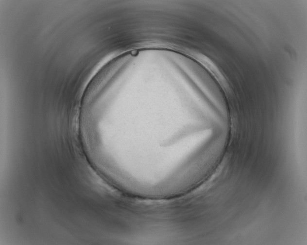 X0000113361244200910061033