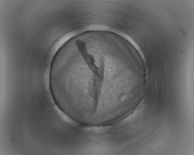 X0000113361245200910061033