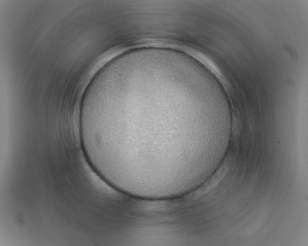 X0000113361247200910061033