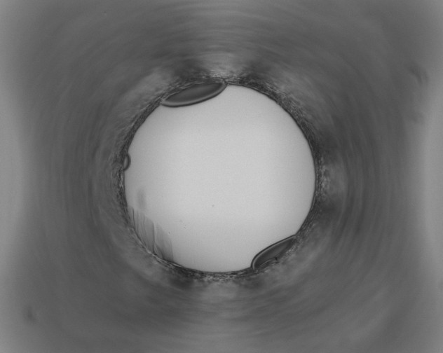 X0000113361249200910061032