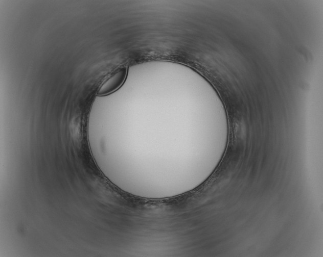 X0000113361250200910061032