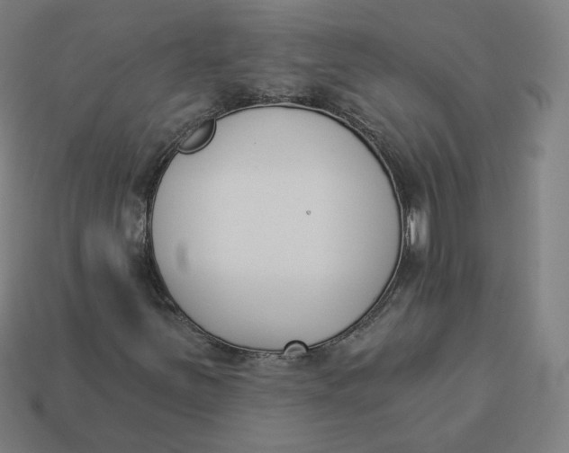 X0000113361251200910061032