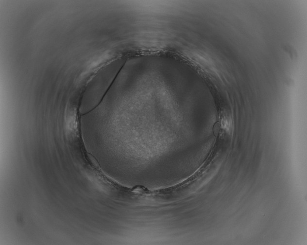 X0000113361252200910061032