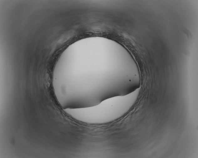 X0000113361253200910061032