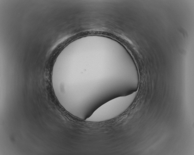 X0000113361255200910061032