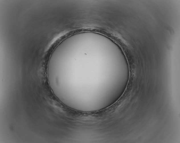 X0000113361256200910061032